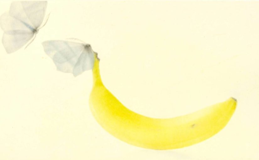 Mikio Watanabé - Une banane - 2014 - Manière noire