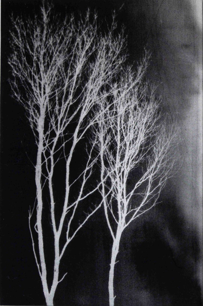 Gabriela Morawetz, Hiérophanies 8