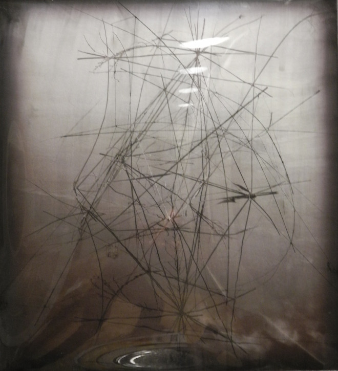 Gabriela Morawetz, Structures idéales II