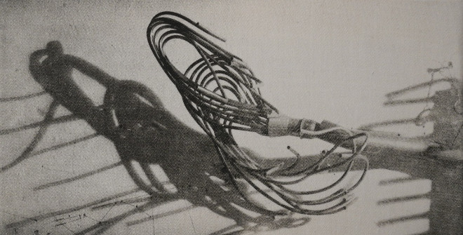 Gabriela Morawetz, Sans titre