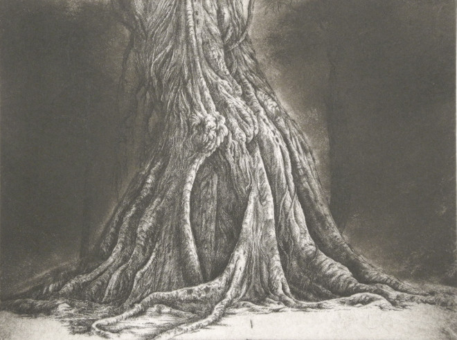 François Houtin, Arbre de vie 4