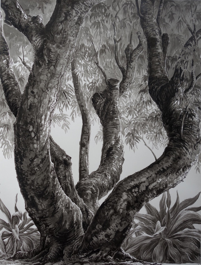 François Houtin, Rio - étude n°1 - Parque Lage