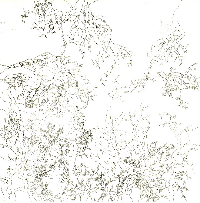Agnès Dubart, Labyrinthe végétal