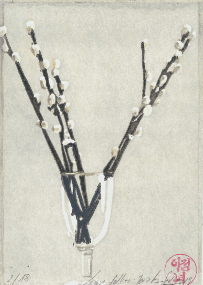Lise Follier-Morales, Transparence n° 3