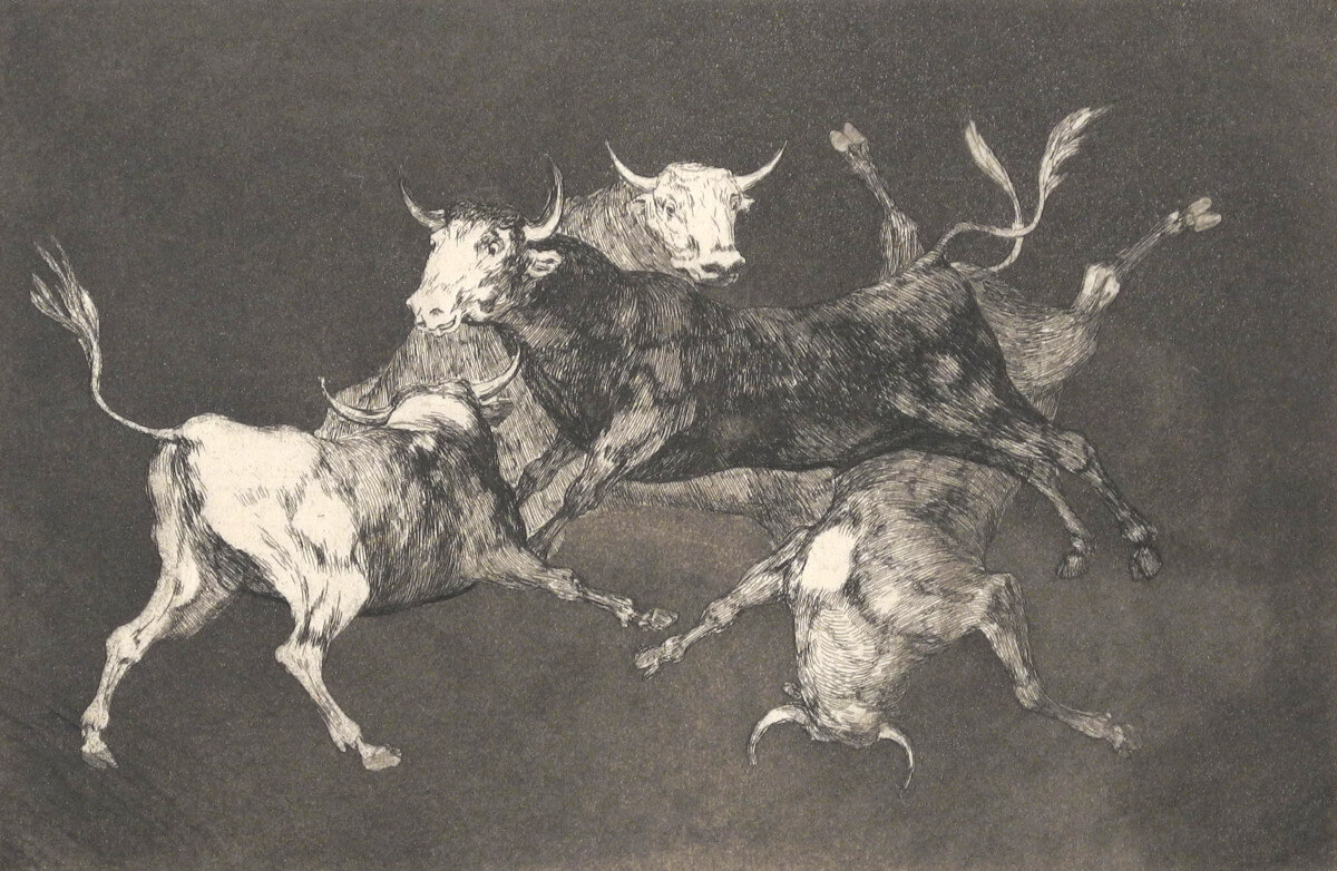 Francisco de Goya y Lucientes, LLuvia de toros