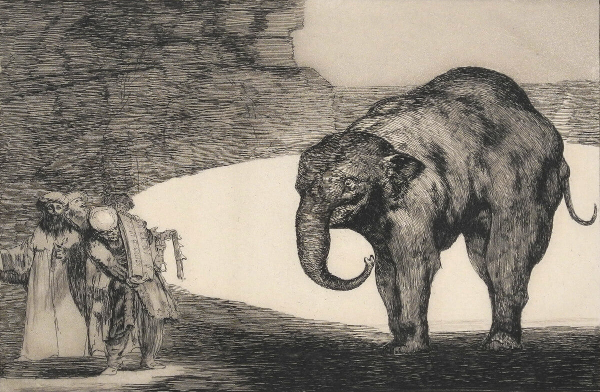 Francisco de Goya y Lucientes, Otras leyes por el pueblo