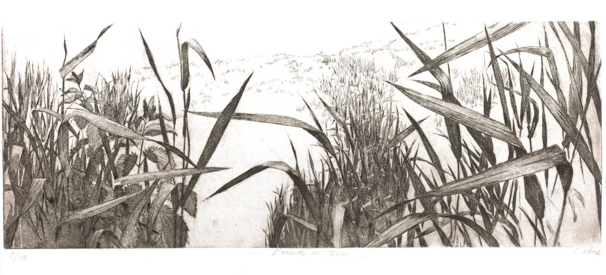 Claire Illouz - L'armée du talus - Recto