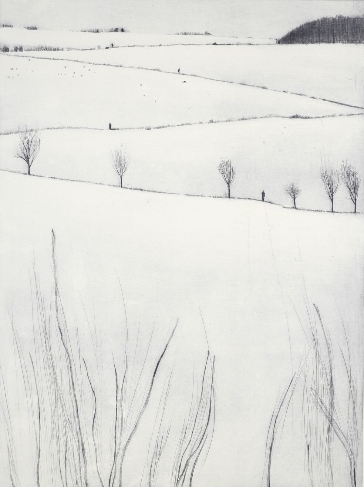 Katja Lang, Licht im winter