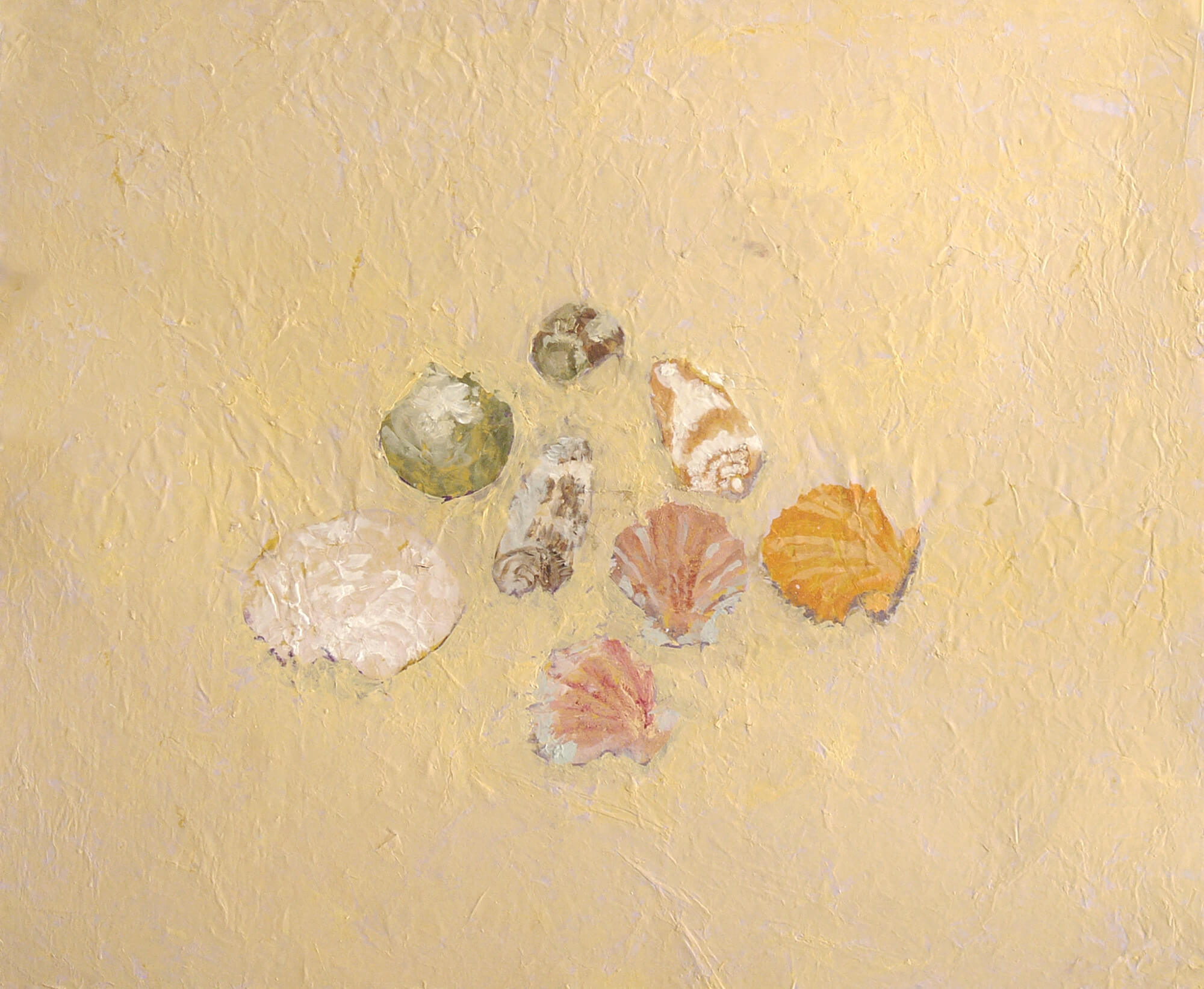 Maïlys Seydoux Dumas, Les coquillages